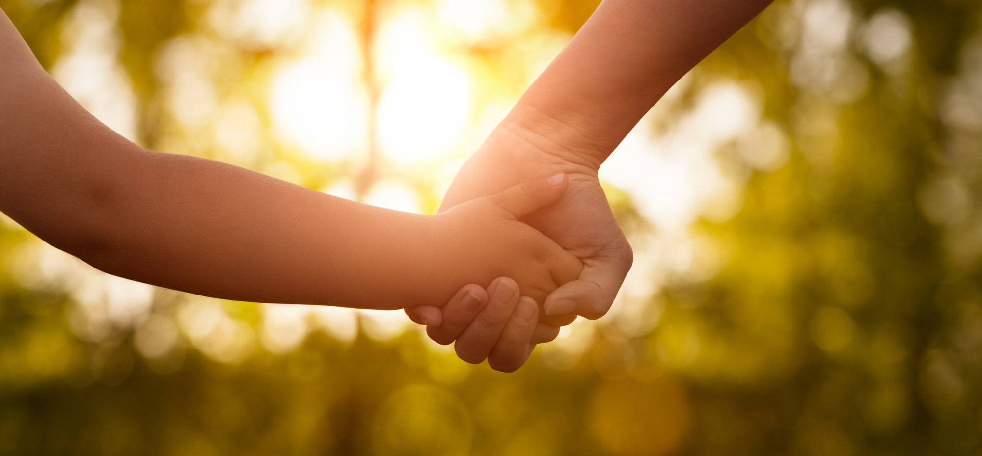 Loi visant à réformer l’adoption : nouvelles règles