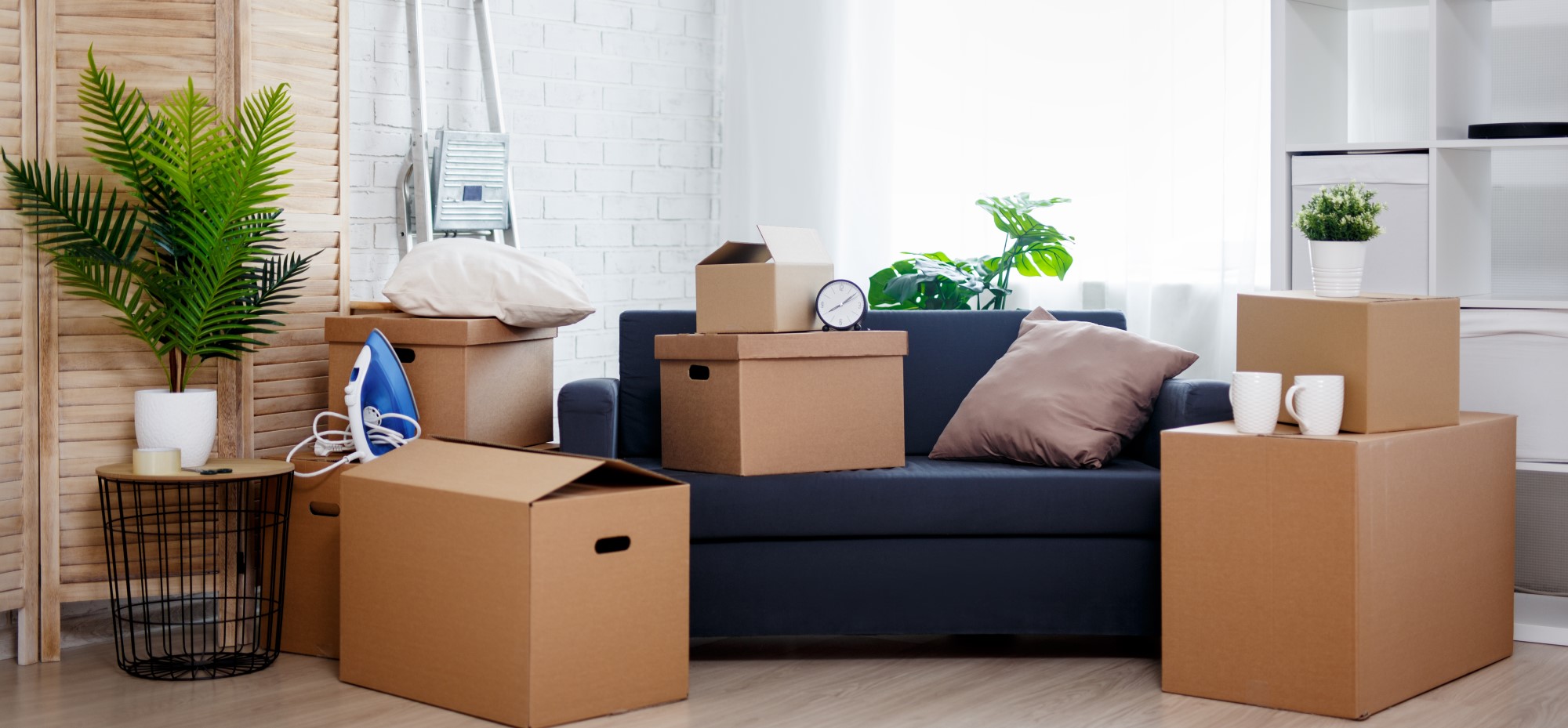 Conjoint survivant et droit viager au logement